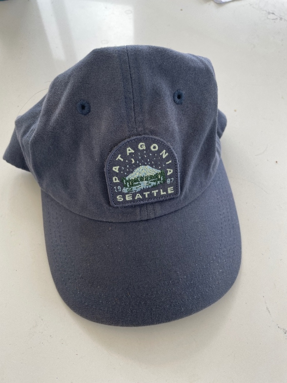 Patagonia ball cap